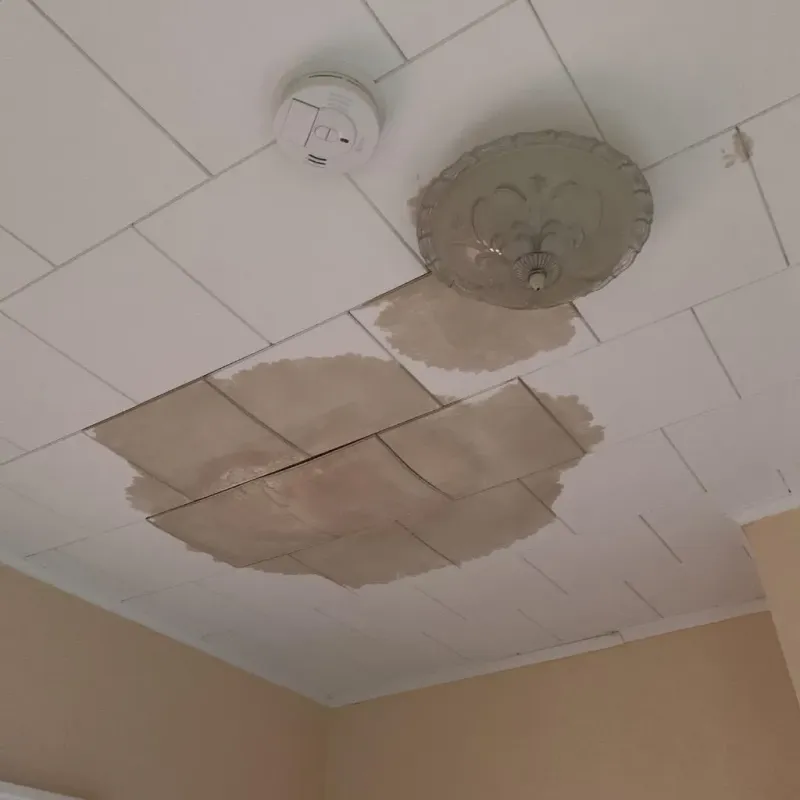 Ceiling Water Damage Repair in Aliquippa, PA