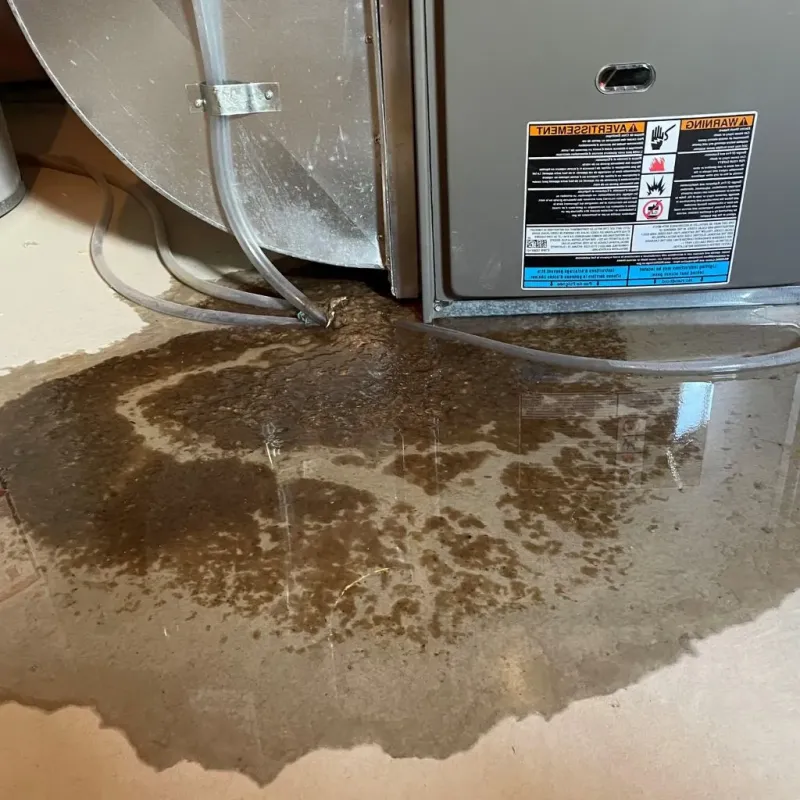 Pipe Burst and Leak Restoration in Aliquippa, PA