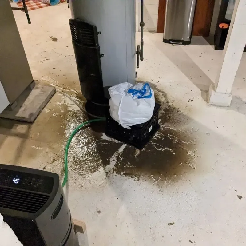 Sewage Backup Cleanup Service in Aliquippa, PA